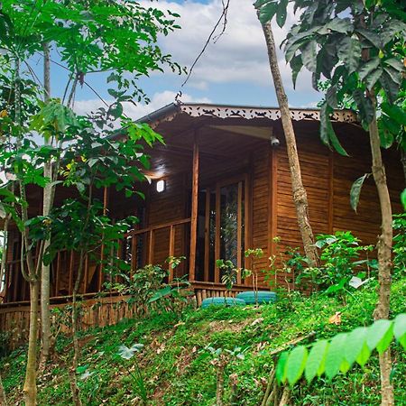 Villa Eco-Por à Rio do Ouro Extérieur photo