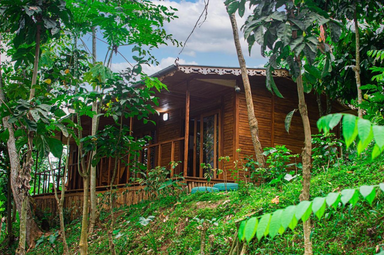Villa Eco-Por à Rio do Ouro Extérieur photo