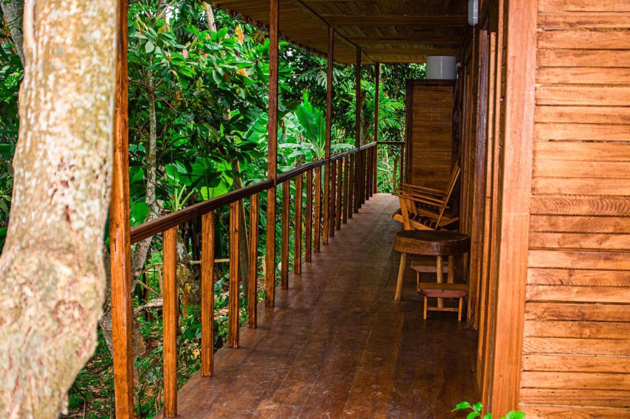 Villa Eco-Por à Rio do Ouro Extérieur photo