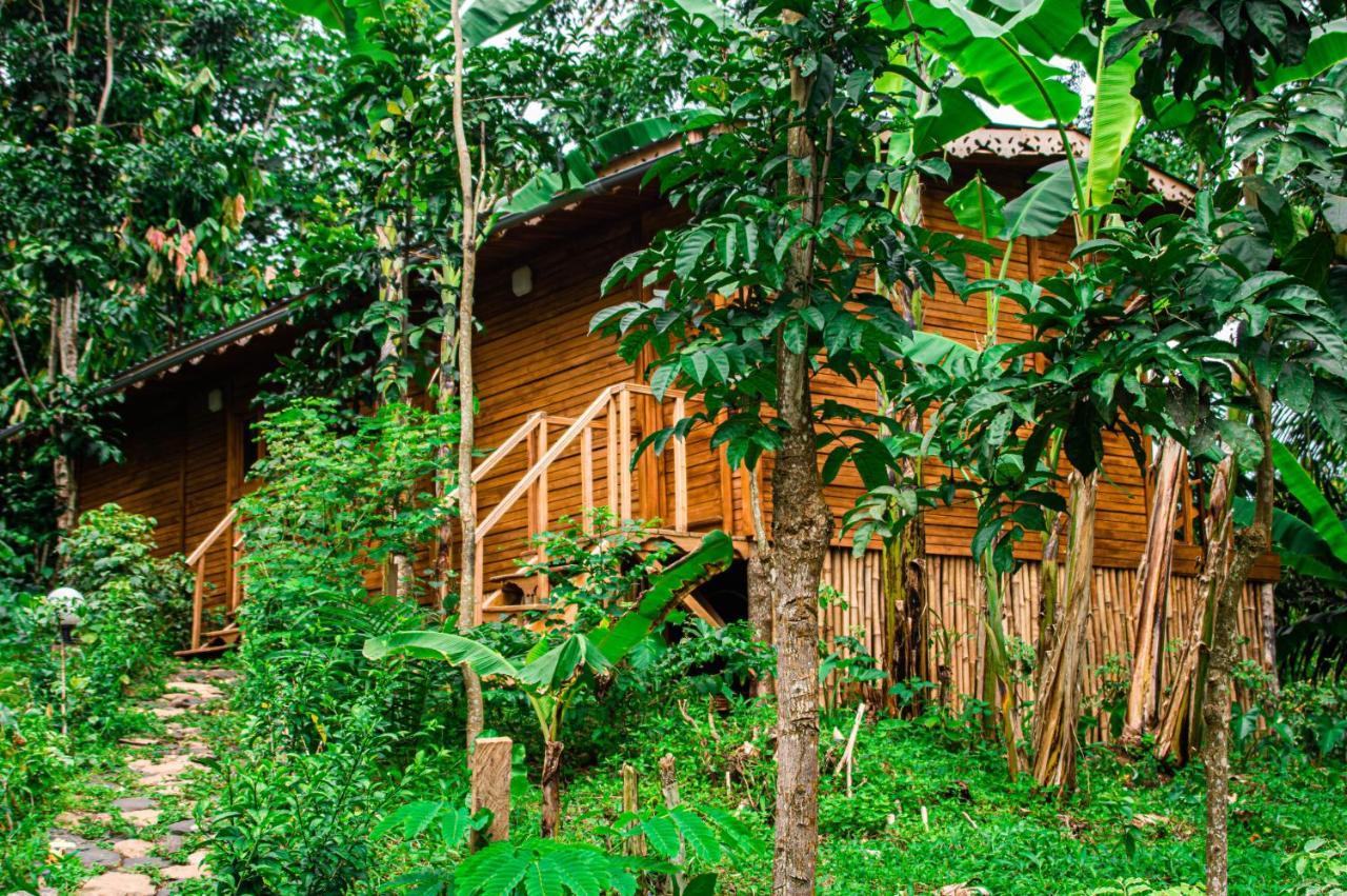 Villa Eco-Por à Rio do Ouro Extérieur photo