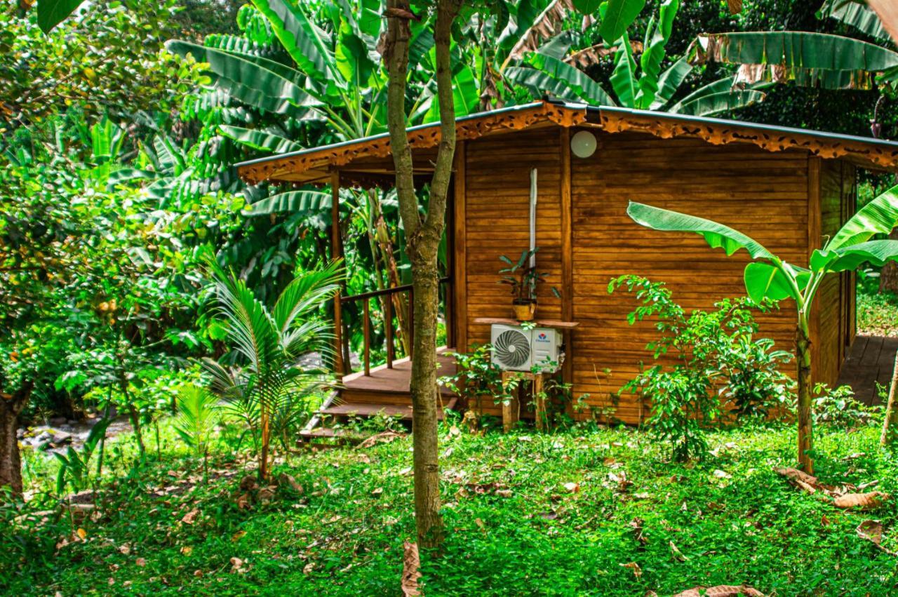 Villa Eco-Por à Rio do Ouro Extérieur photo