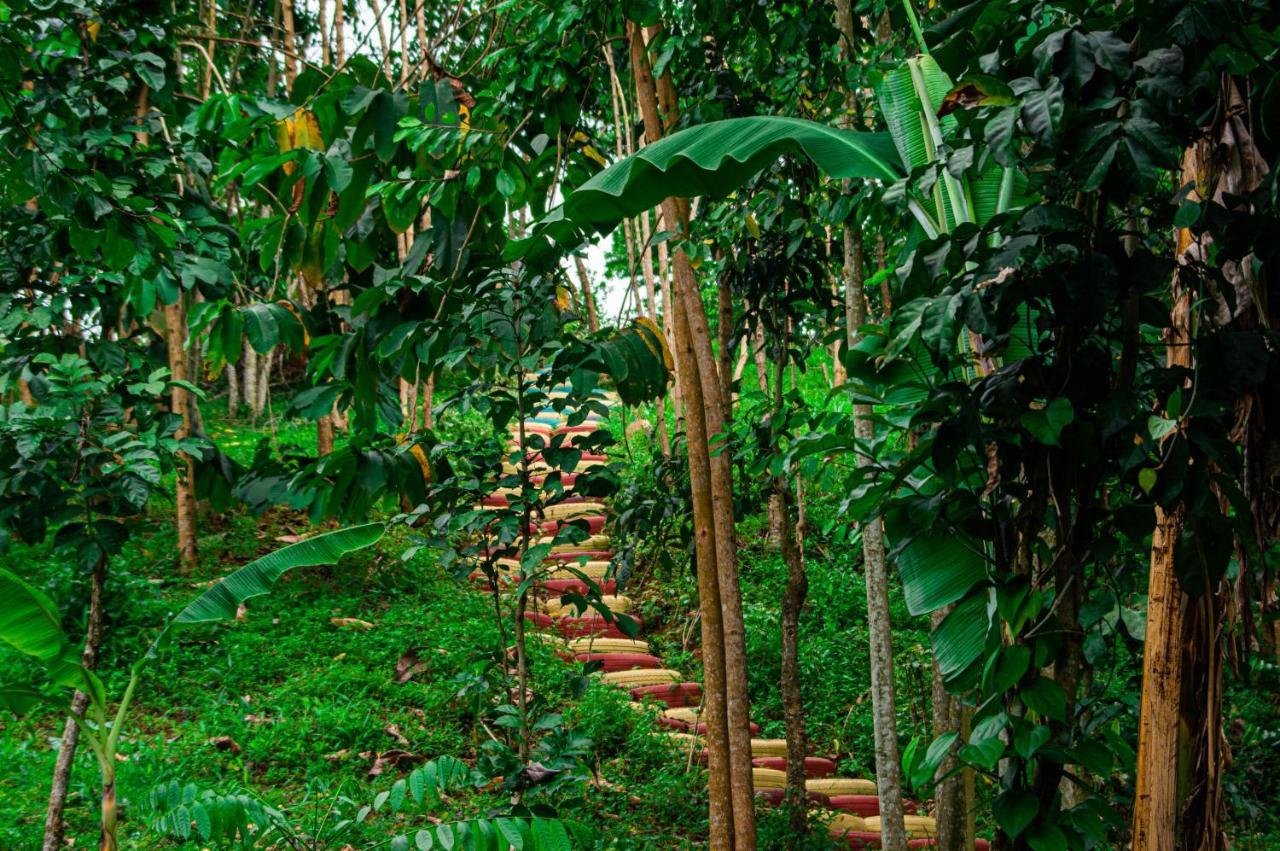 Villa Eco-Por à Rio do Ouro Extérieur photo