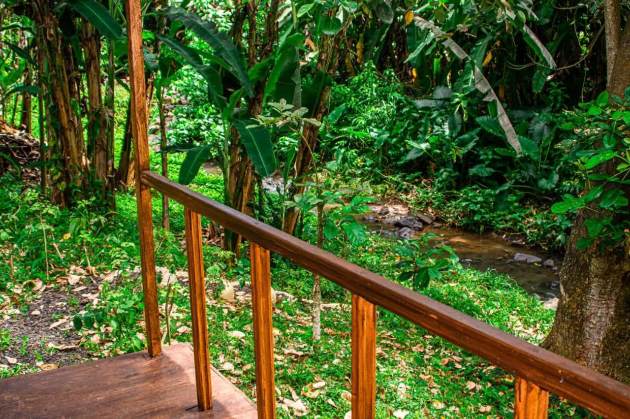 Villa Eco-Por à Rio do Ouro Extérieur photo