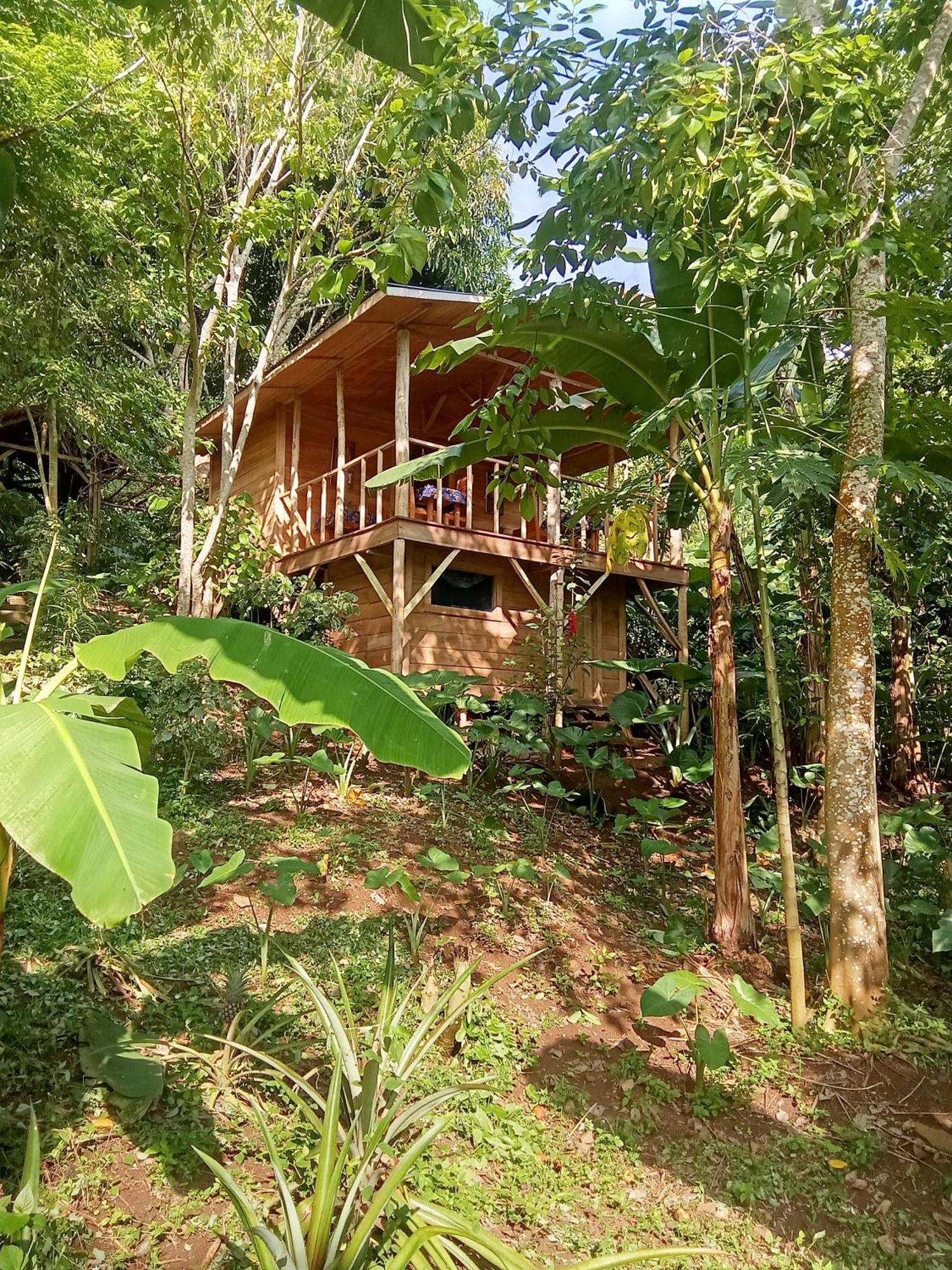 Villa Eco-Por à Rio do Ouro Extérieur photo
